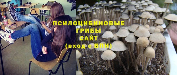 spice Кодинск