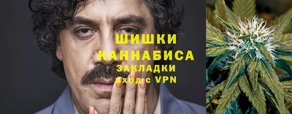мдпв Козловка
