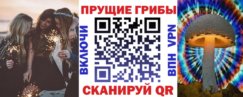 Купить  Нарткала  Галлюциногенные грибы Psilocybe 