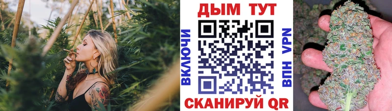 Бошки марихуана SATIVA & INDICA  Купить  Нарткала 